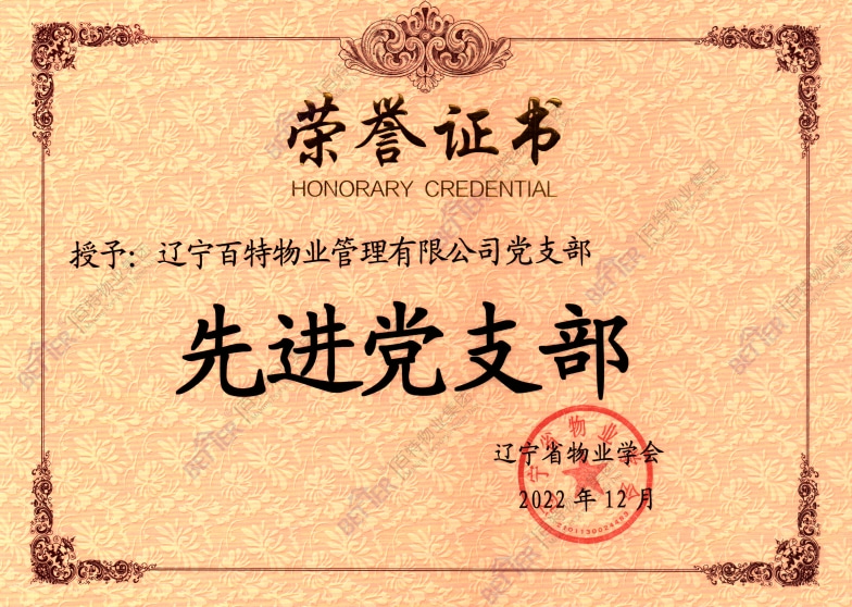 先进党支部